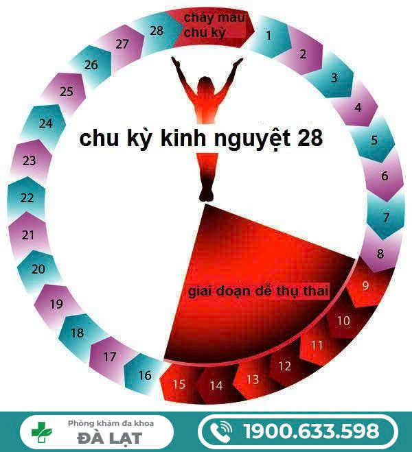 Hình ảnh minh họa